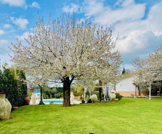 Villa "Casa Al Chiazzullo" Mirabella Eclano Eksteriør billede