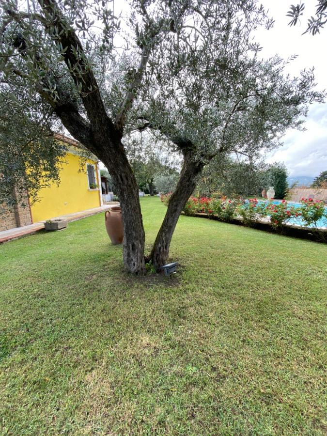 Villa "Casa Al Chiazzullo" Mirabella Eclano Eksteriør billede